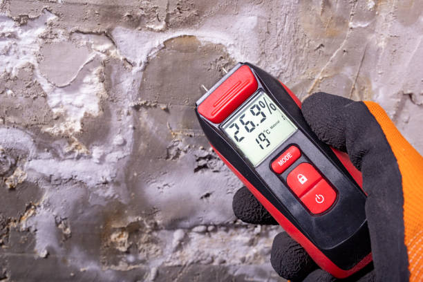 Best Certified Mold Removal  in Wakarusa, IN
