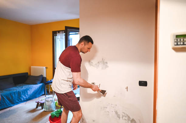 Best Local Mold Removal Service  in Wakarusa, IN